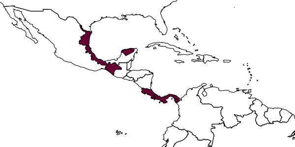 map of Messatoporus mesonotator     Kasparyan & Ruíz, 2005